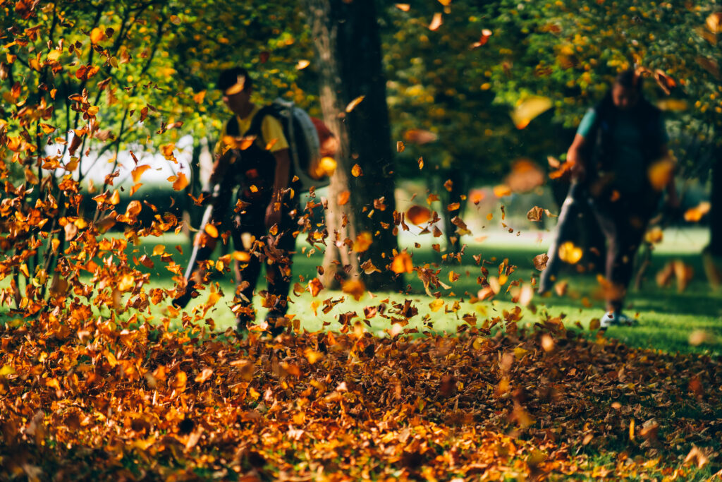 Ryobi Leaf Blower Issues 7 Common Problems (Must Read)